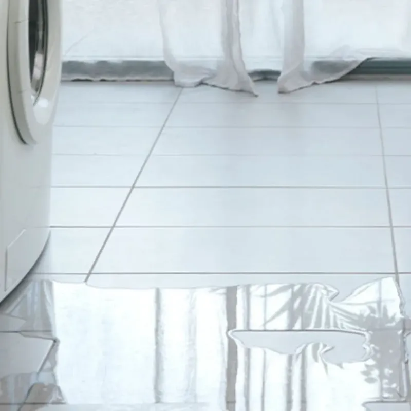 Appliance Leak Cleanup in San Marcos, TX