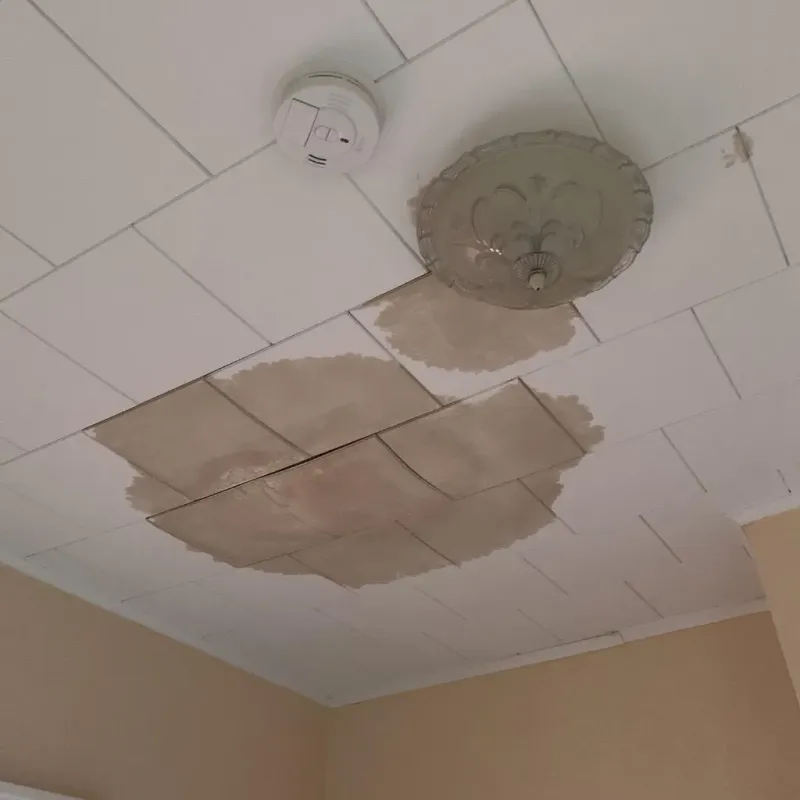 Ceiling Water Damage Repair in San Marcos, TX